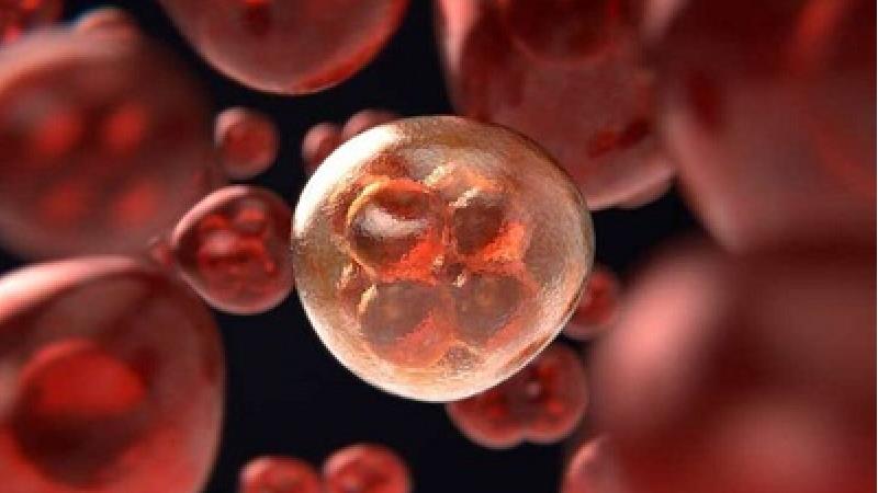 سرطان پروستات در چند سالگی شایع تر است