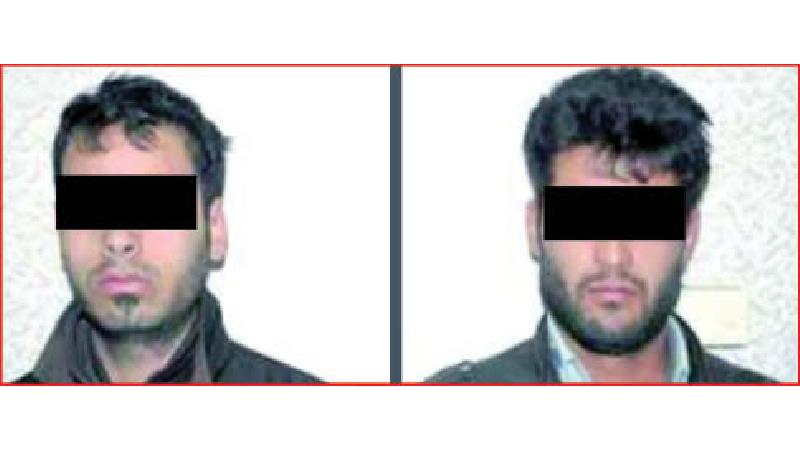 گرگ های زرد عامل تعرض به زنان