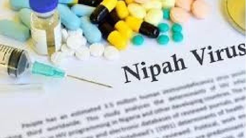 ویروس نیپا هیچ درمانی ندارد