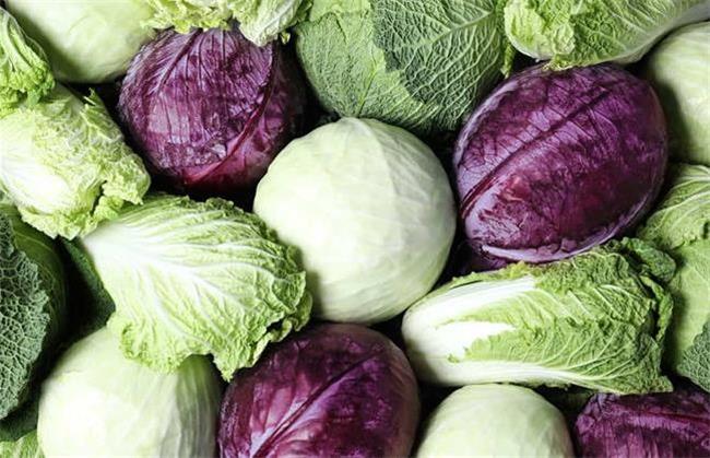 کلم برای رفع اختلالات هورمونی خاصیت دارد