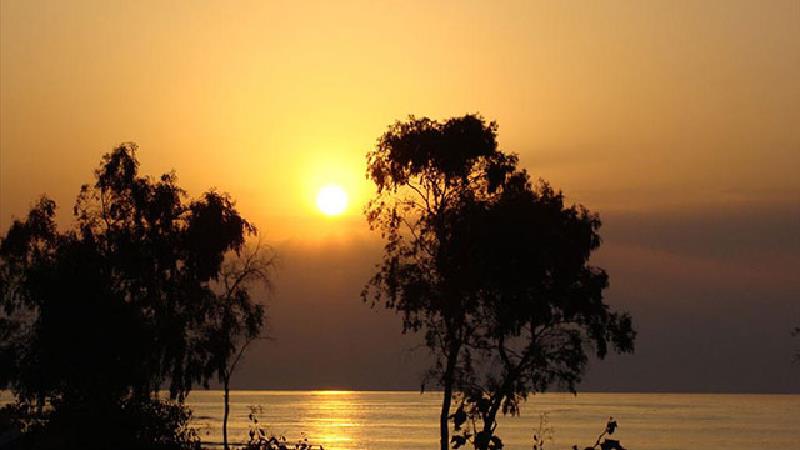 پارک جنگلی سیسنگان بسیار دیدنی است