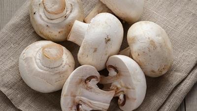 بهترین روش برای نگهداری قارچ در یخچال چیست