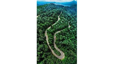 جاده سیاهکل به دیلمان بسیار دیدنی است