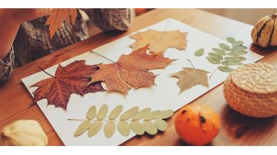 برگ درختان را چطور خشک کنیم که ماندگاری زیادی داشته باشد