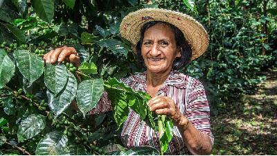 تاثیر قهوه در درس خواندن، یار یا رقیب کار و درس؟