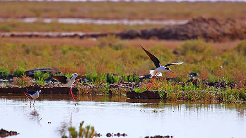 تالاب کردخورد یا آق ‌گل از جمله بهترین مقصدها برای سفر پاییزی است.