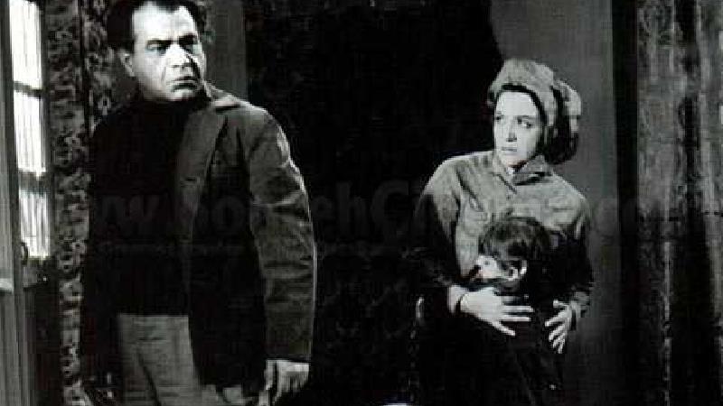 بیوگرافی کامل شهلا ریاحی بازیگر سینما و تلویزیون