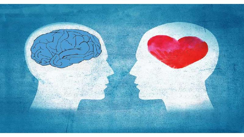 مردان آناناسی، زنان هلویی چه ویژگی‌های شخصیتی دارند؟