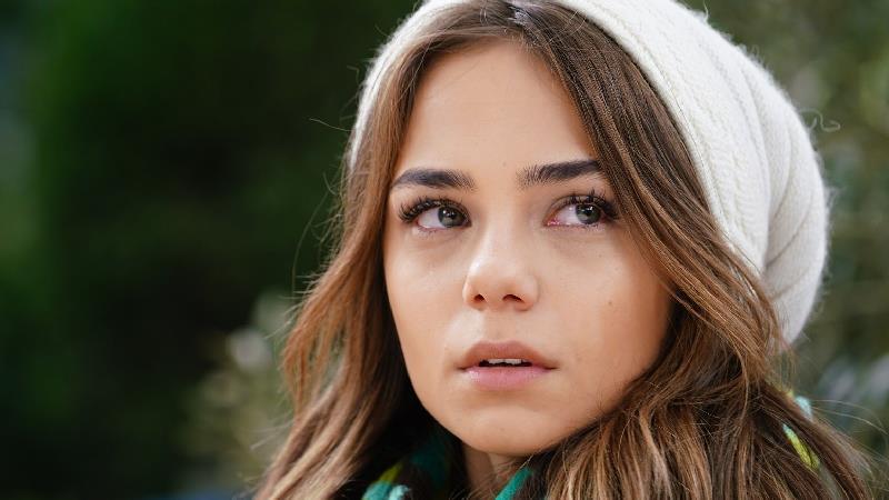 بهارشاهین به دلیل ظاهرش مورد توجه برند های لباس قرار دارد