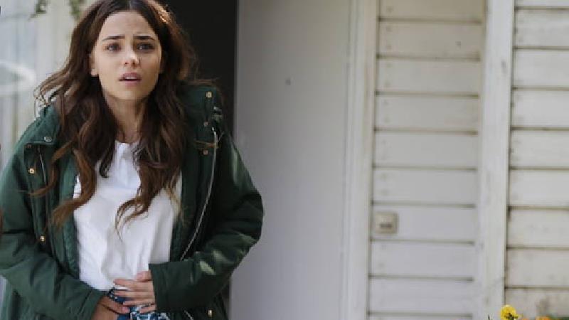 بهارشاهین از دوران نوجوانی تئاتر بازی می کرد