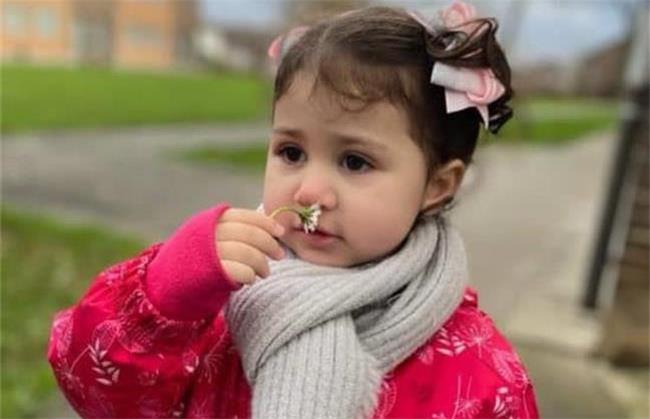 نبات دختر شاهرخ استخری