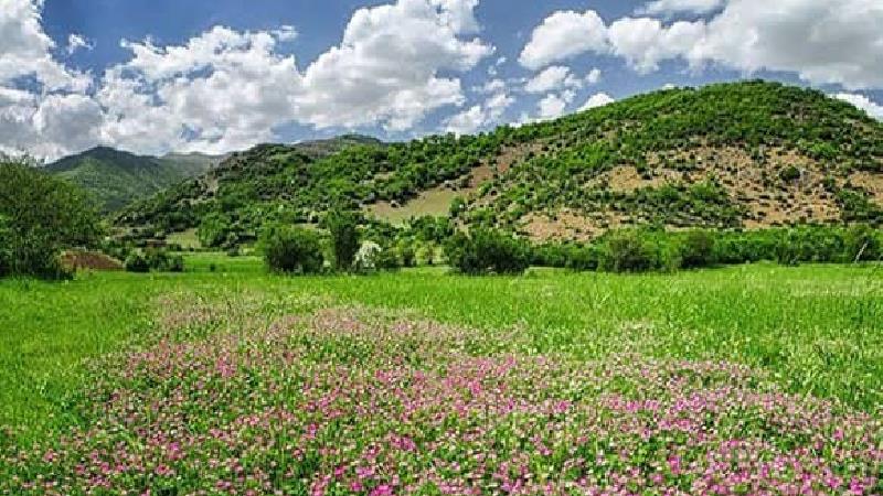 به دیدن ناوان تالش بروید