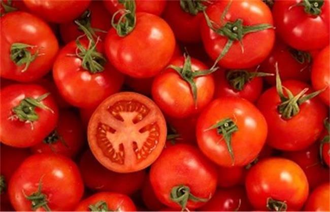 گوجه فرنگی از خوراکی های مفید برای کاهش غلظت خون است