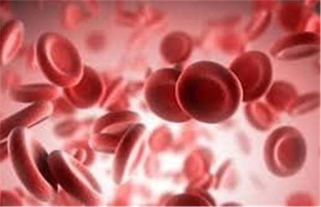 ترب سفید برای درمان کم خونی خاصیت دارد