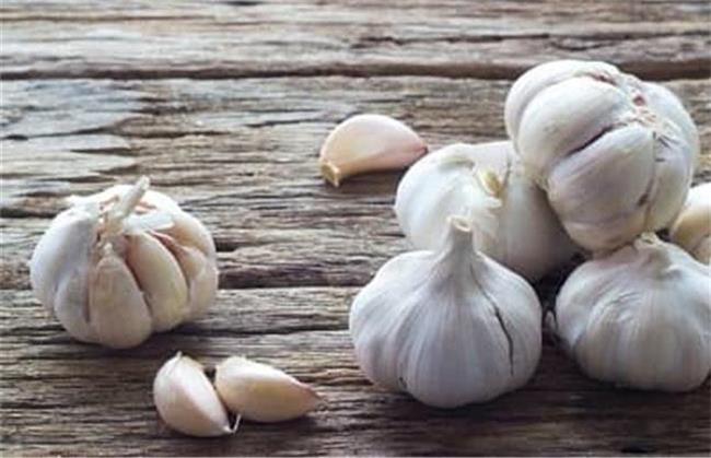 برای خوب شدن حساسیت بهاره سیر بخورید