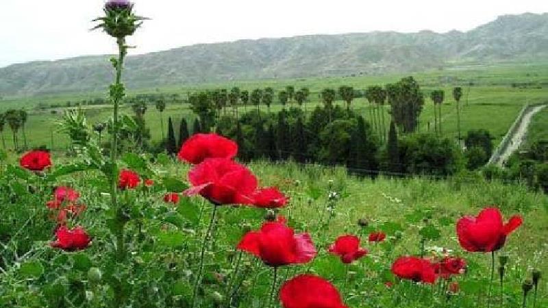 آدرس باغ چشمه بلقیس چرام کجا است