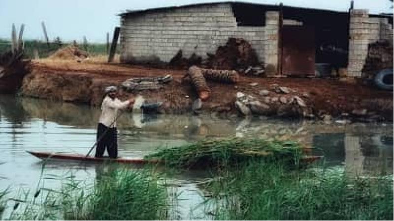 روستای سراخیه در استان خوزستان واقع شده است