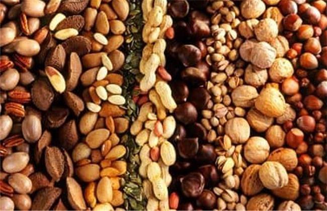 آجیل از جمله خوراکی های مفید برای کاهش کلسترول خون است