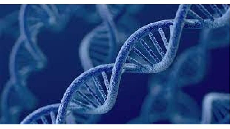 وراثت در ابتلا به سرطان پوست نقش دارد