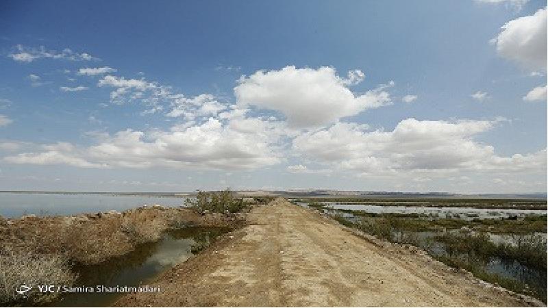 دشت مسیله در کجا واقع شده است