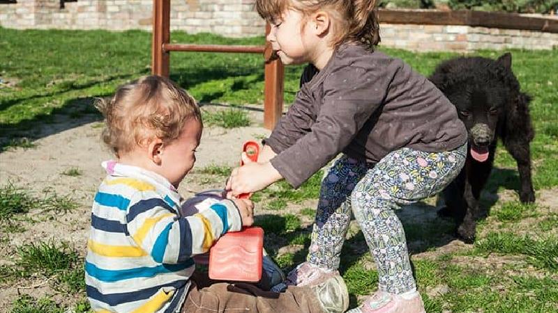 در برابر دعوای بچه ها در خانه چه واکنشی نشان بدهیم