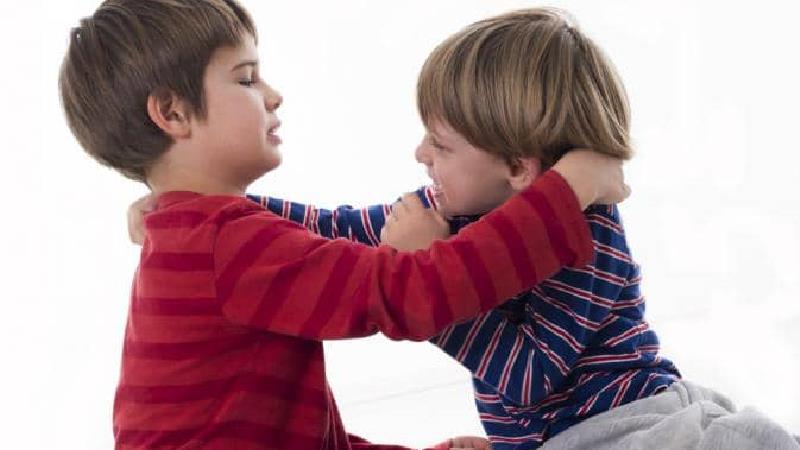 دعوای بچه ها در خانه چه دلایلی دارد