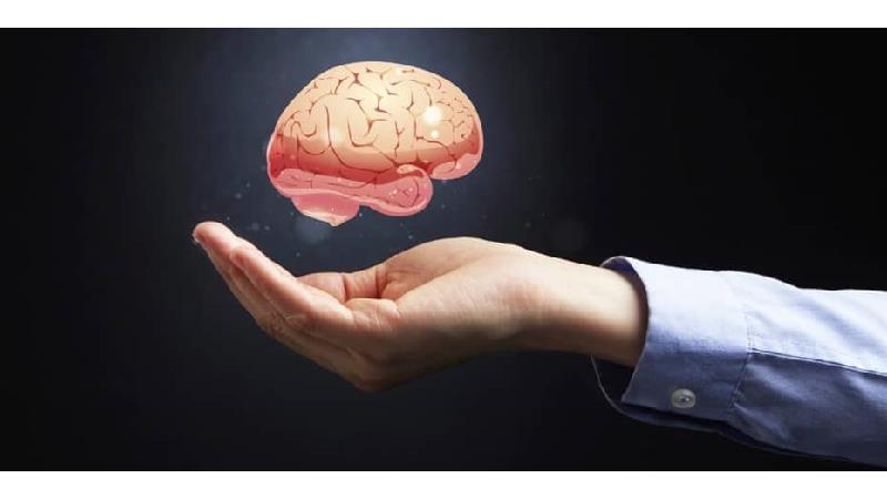 آب قلم برای مغز بسیار مفید است