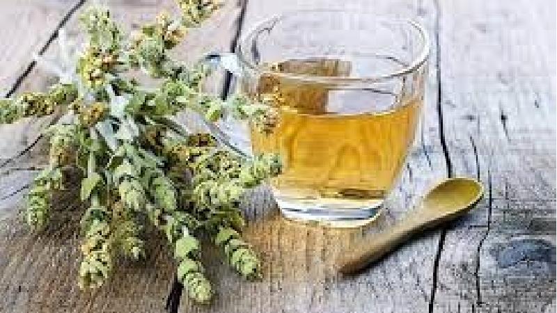 چای کوهی از نظر طب سنتی چه فایده هایی دارد