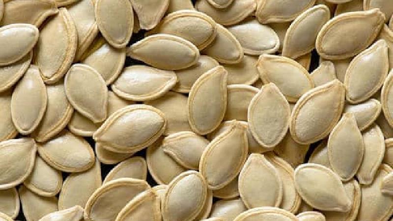 تخمه کدو سرشار از پروتئین است