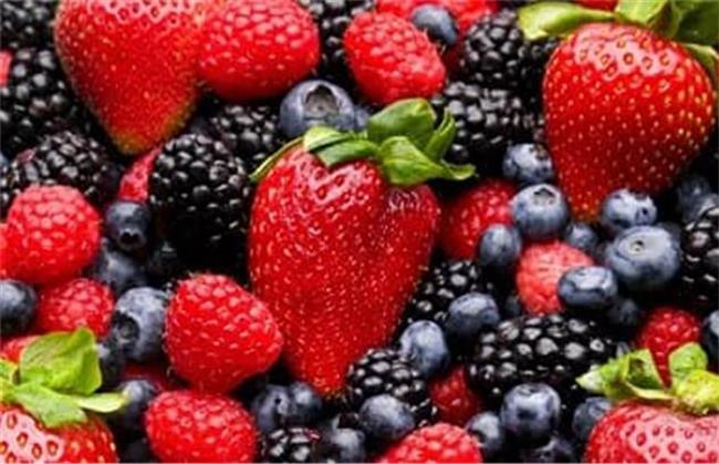 توت به جلوگیری از ریزش مو کمک می کند