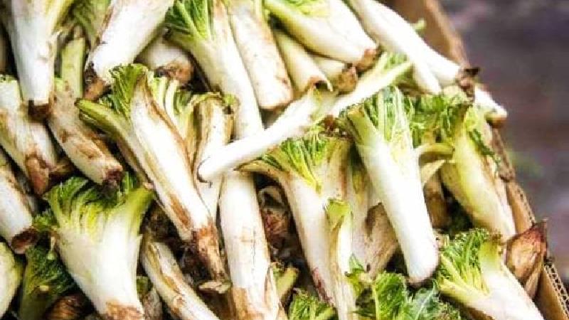 با کنگر چگونه خورش درست کنیم