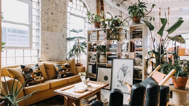 داشتن گل و گیاه در خانه به داشتن انرژی مثبت کمک می کند