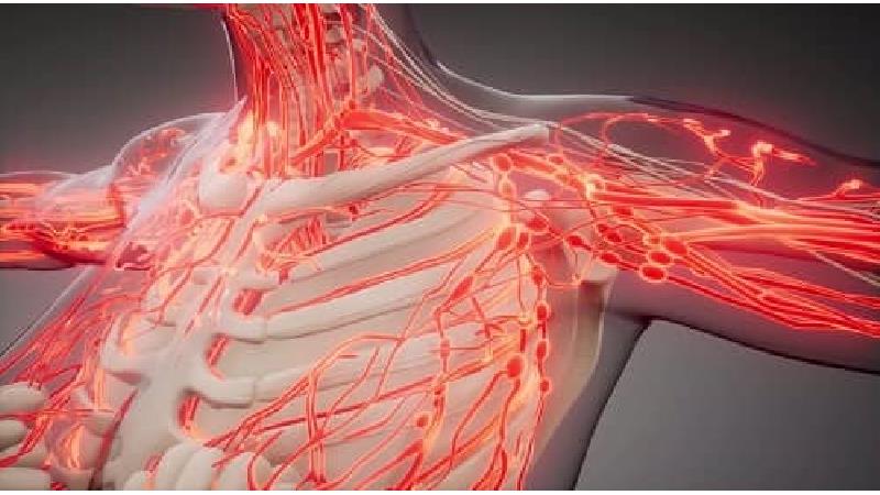 دلایل ابتلا به سرطان مغز استخوان چیست