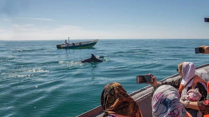 کدام جزایر در خلیج فارس متعلق به ایران است