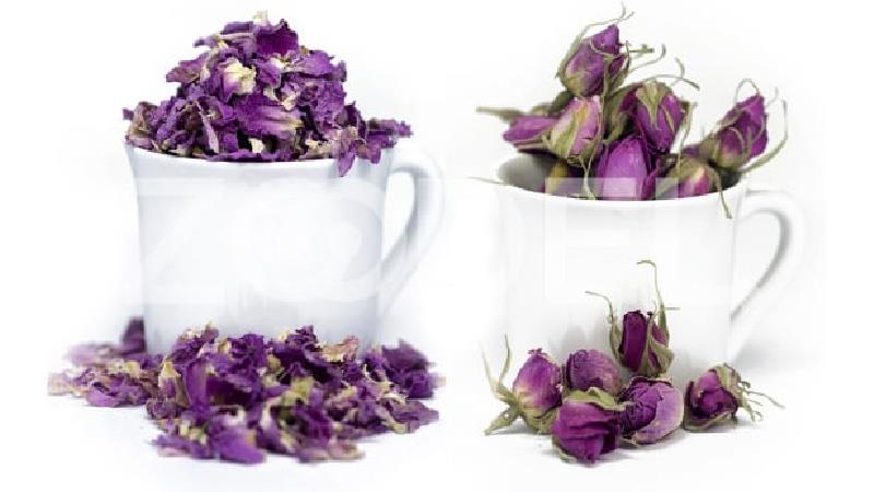 با خاصیت های درمانی گل محمدی آشنا شوید