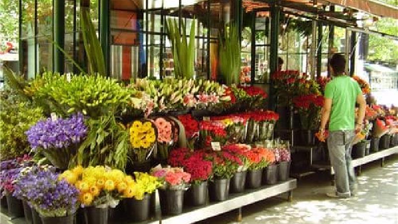 تازه نگه داشتن گل چه فوت و فن هایی دارد