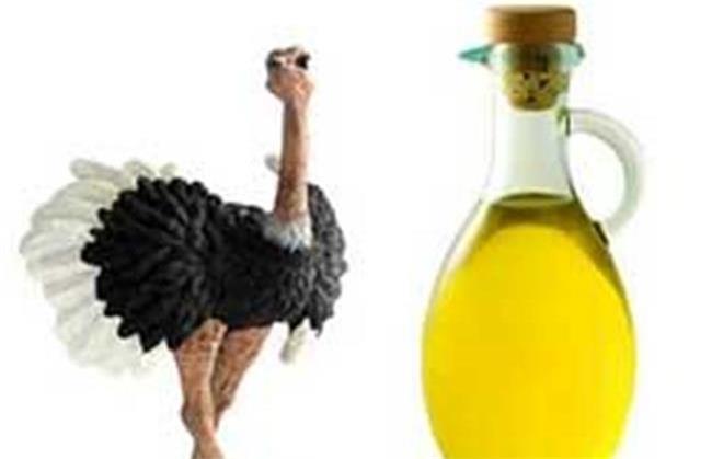 نحوه تشخیص روغن شترمرغ واقعی را یاد بگیرید