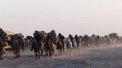 عکسی از سریال سلمان فارسی