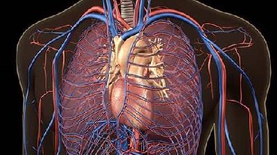 با نشانه های وجود لخته خون در بدن آشنا شوید