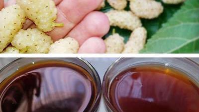 خاصیت های شیره توت چیست