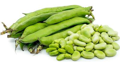 باقلا خشک را چگونه در فریزر نگهداری کنیم