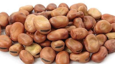 باقلا را چطور در خانه خشک کنیم