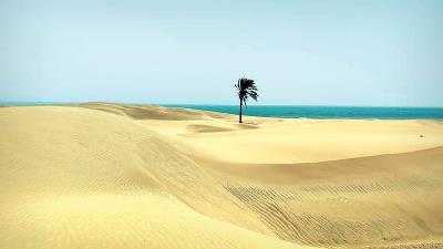 در مکران کویر و دریا به هم رسیده اند