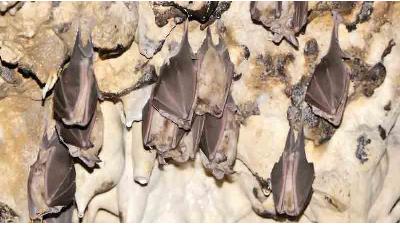 آدرس غار رودافشان کجا است