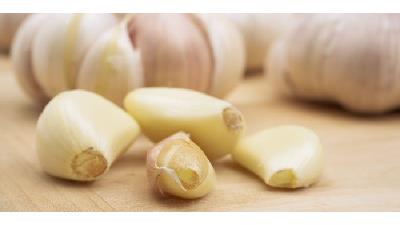 در طب سنتی سیر خام برای درمان سفیدی زبان مفید تشخیص داده شده است