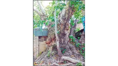 روستای برغان چه دیدنی هایی دارد