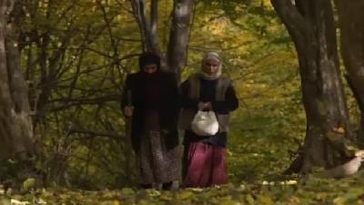 عکسی از سریال کلبه ای در مه