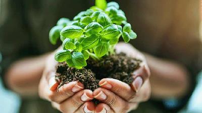 زندگی سالم با مثبت اندیشی محقق می شود