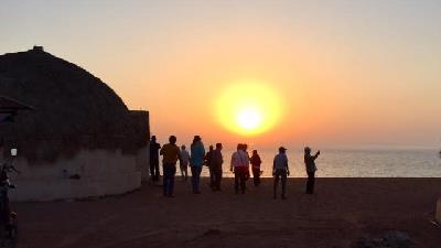 جزیره لارک در کجا واقع شده است