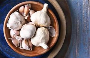 سیر به تقویت سیستم ایمنی بدن کودکان کمک می کند